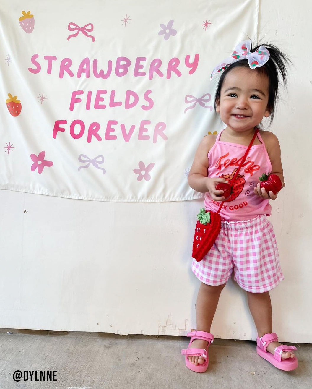Strawberry Fields Forever Banner - Girls Room Wall Decor