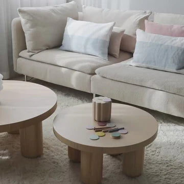 Coin & Tube Sorting Set