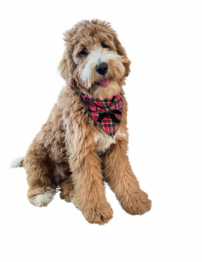 Home For The Holidays Plaid Dog Bandana IMJ x Bre Sheppard