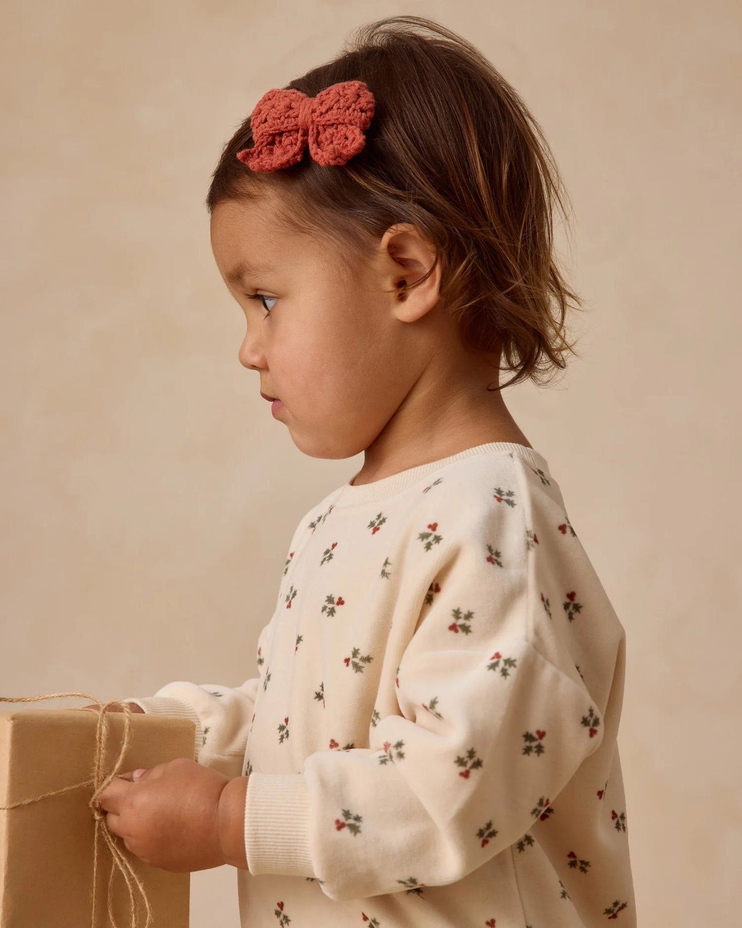 Velour Relaxed Sweatshirt + Pant Set || Holly Berry