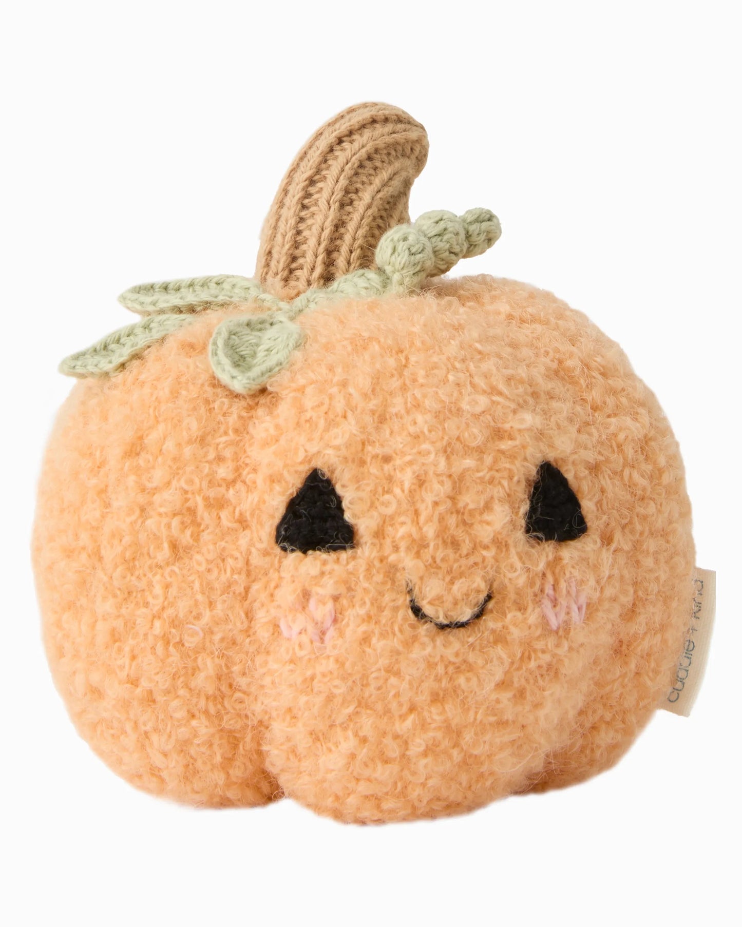 Baby Pumpkin | Gives 5 Meals