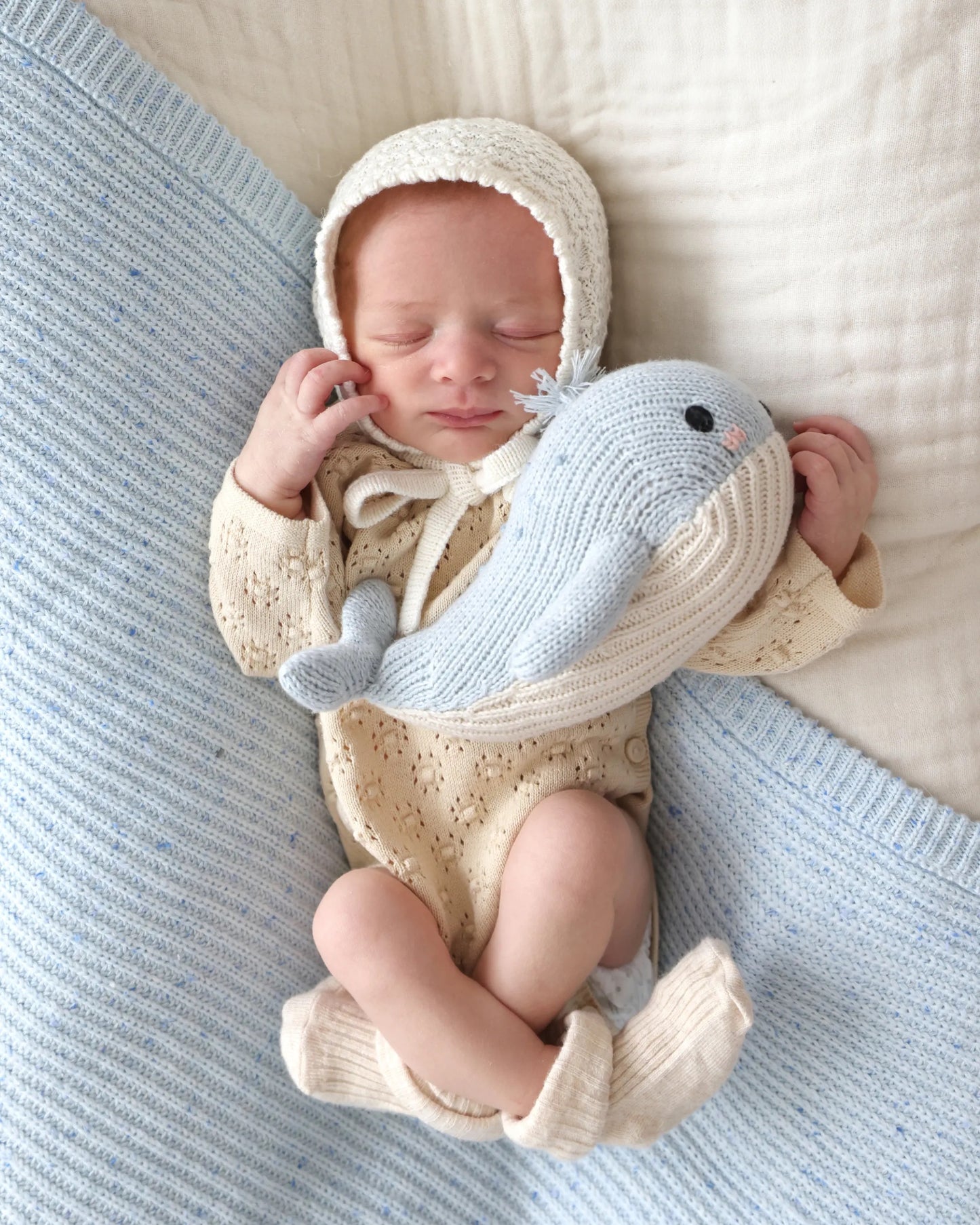 Baby whale | Gives 5 Meals