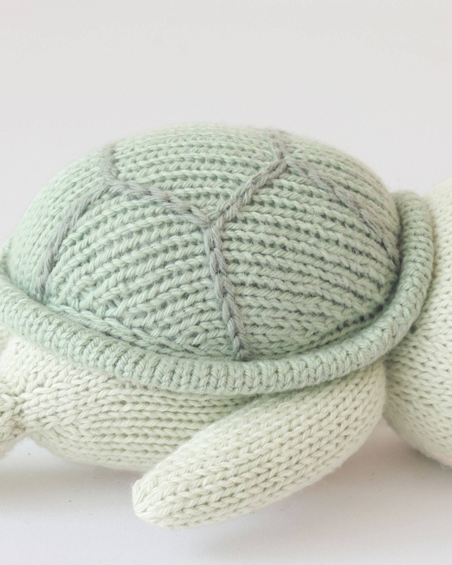 Baby sea turtle (kelp green)